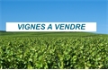 terrain à la vente